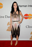 Katy Perry - Страница 5 Th_42717_celebrity-paradise.com-The_Elder-Katy_Perry_2010-01-30_-_2010_Annual_Clive_Davis_Pre-Grammy_Party_7121_122_90lo