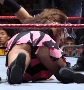 Mickie James Fake